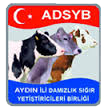 ADSYB